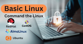 Basic Linux